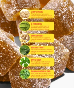 Focus Gummies